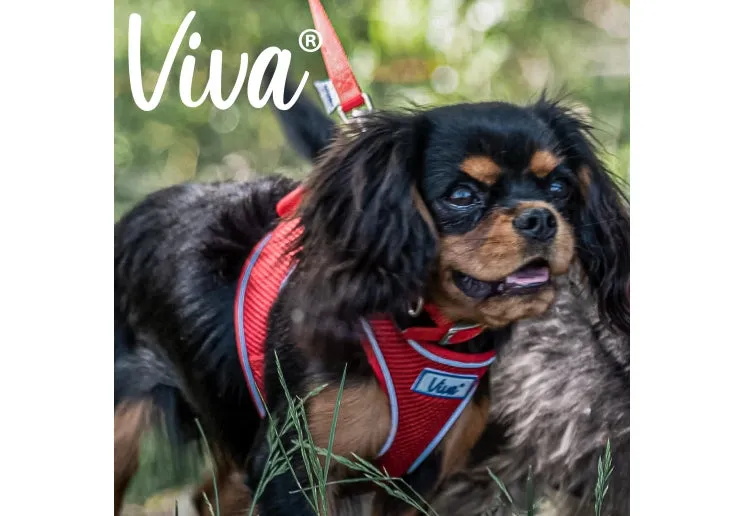 Ancol - Viva Nylon Buckle Collar - Red - Size 4 (35-43cm)