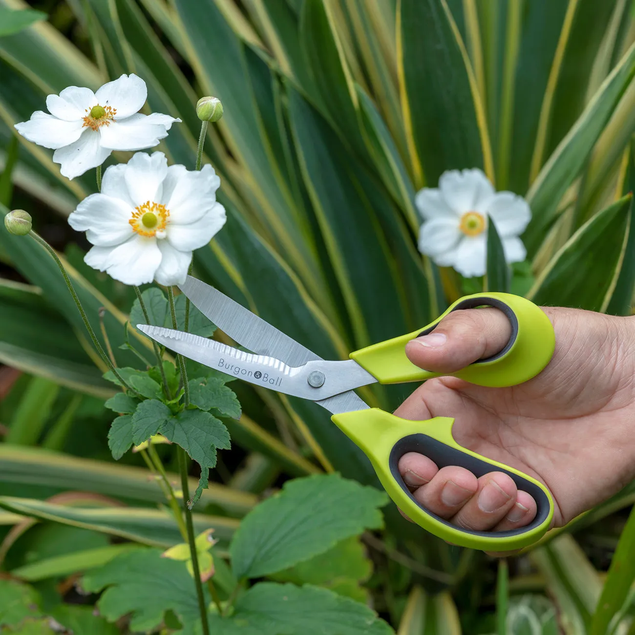 Burgon & Ball RHS Garden and Flower Scissors
