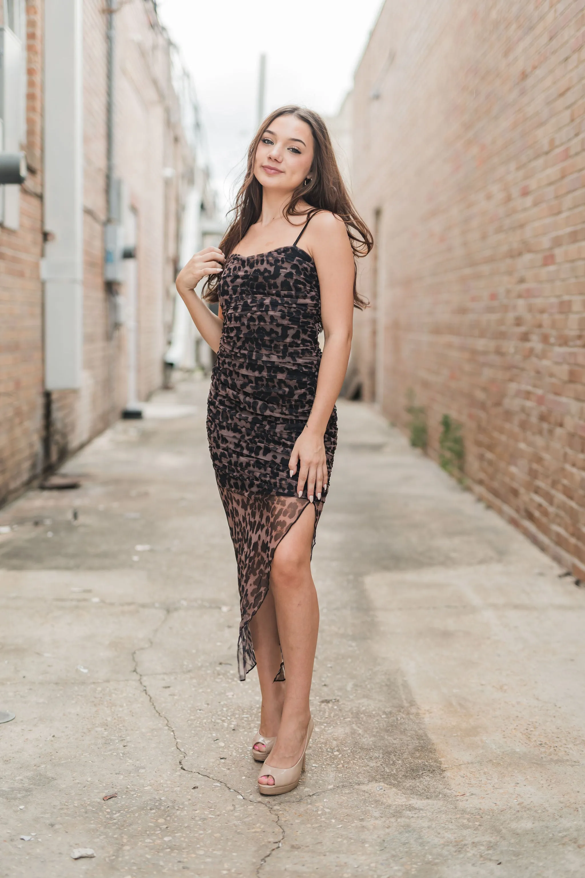 Cheetah Print Ruched Mesh Asymmetrical Midi Dress