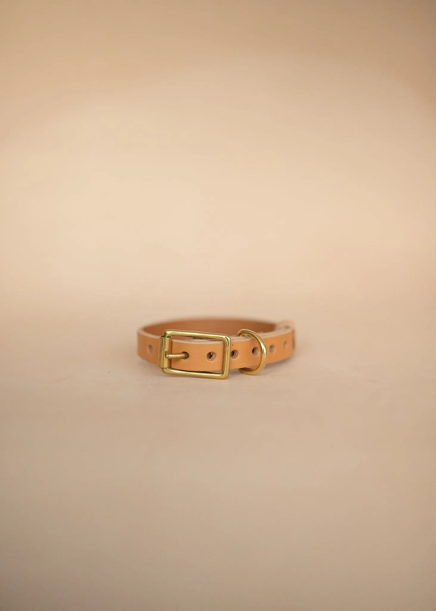 Classic Dog Collar - 18mm - Natural