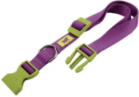 CLUB C PURPLE