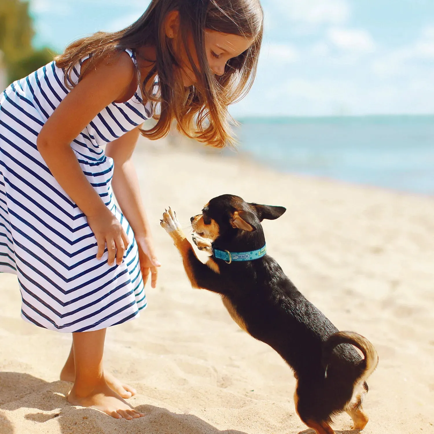 Collar | To The Beach