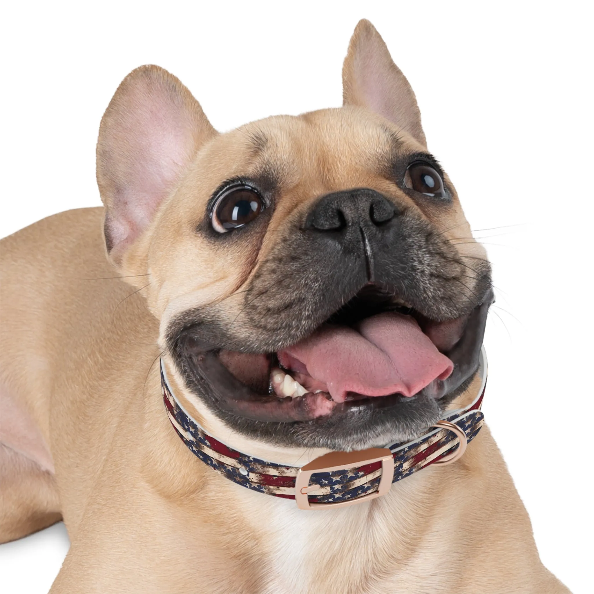 Distressed Flag Dog Collar