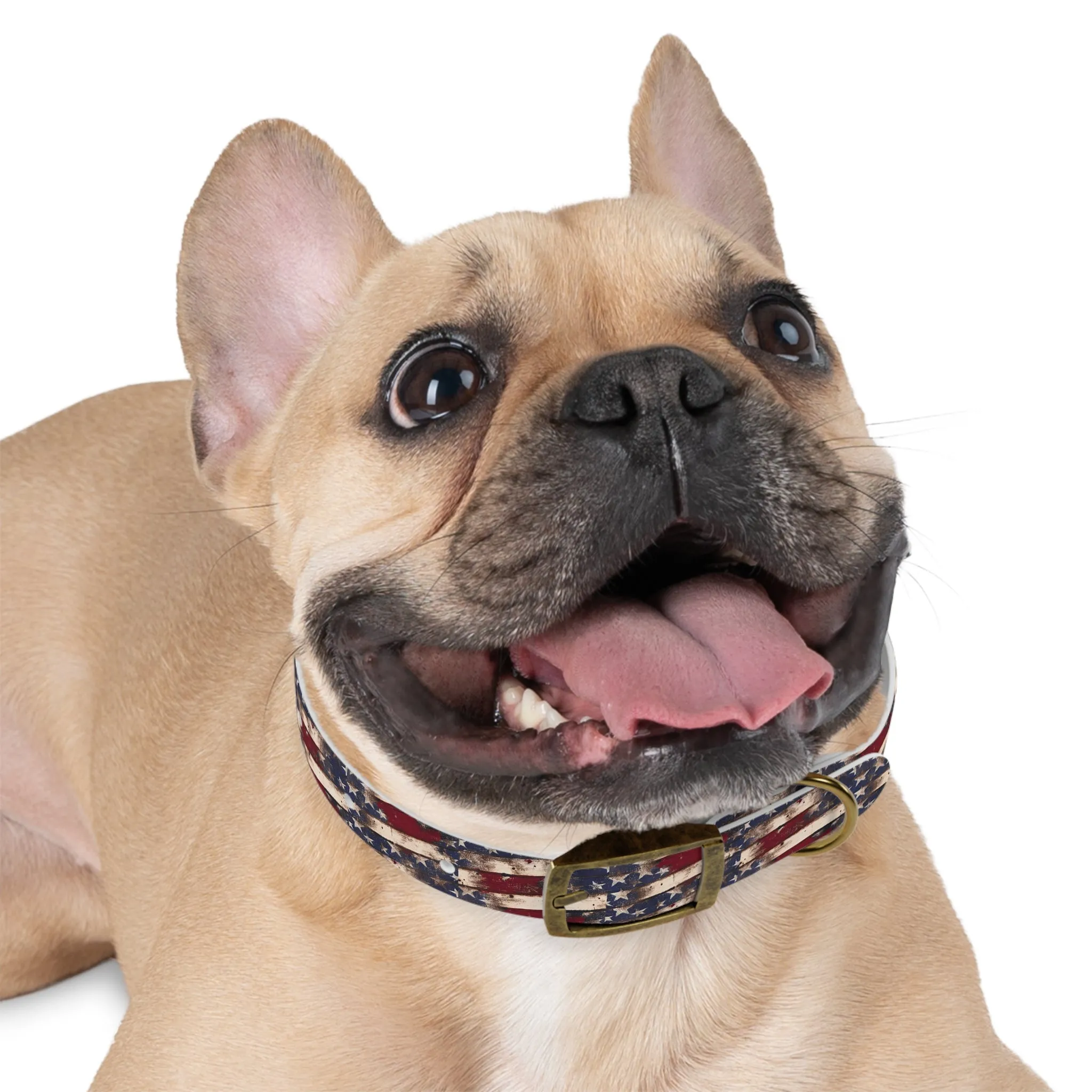 Distressed Flag Dog Collar