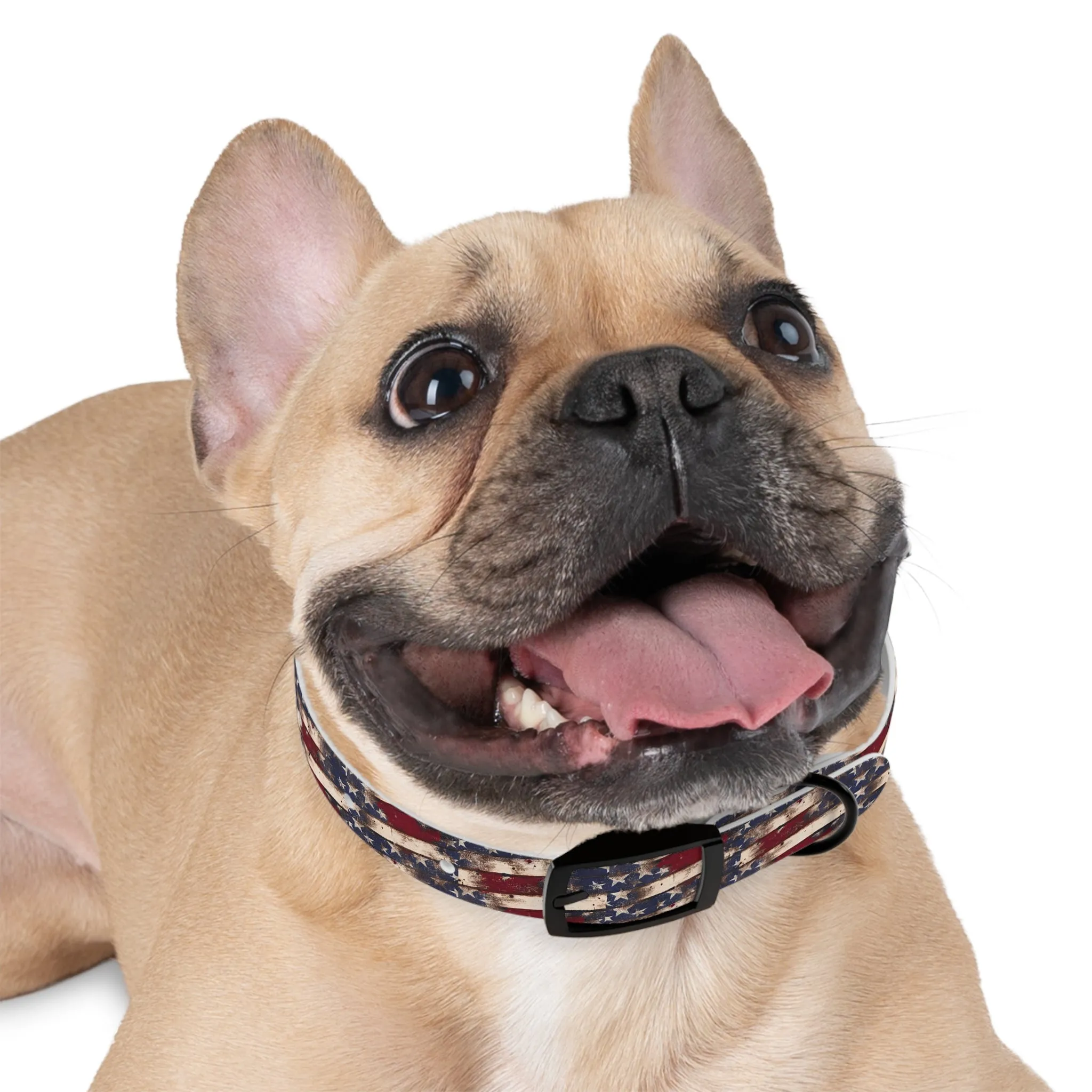Distressed Flag Dog Collar