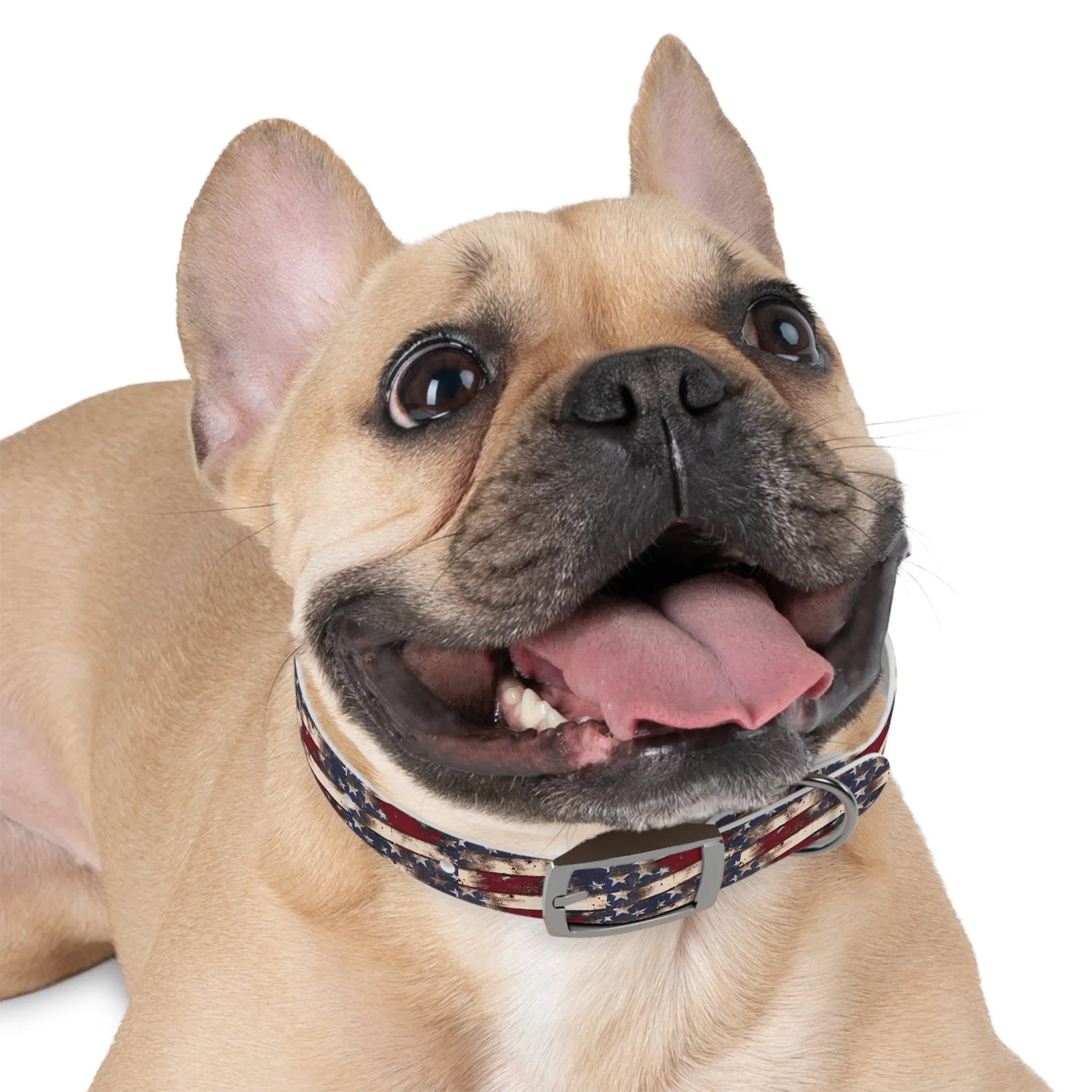 Distressed Flag Dog Collar