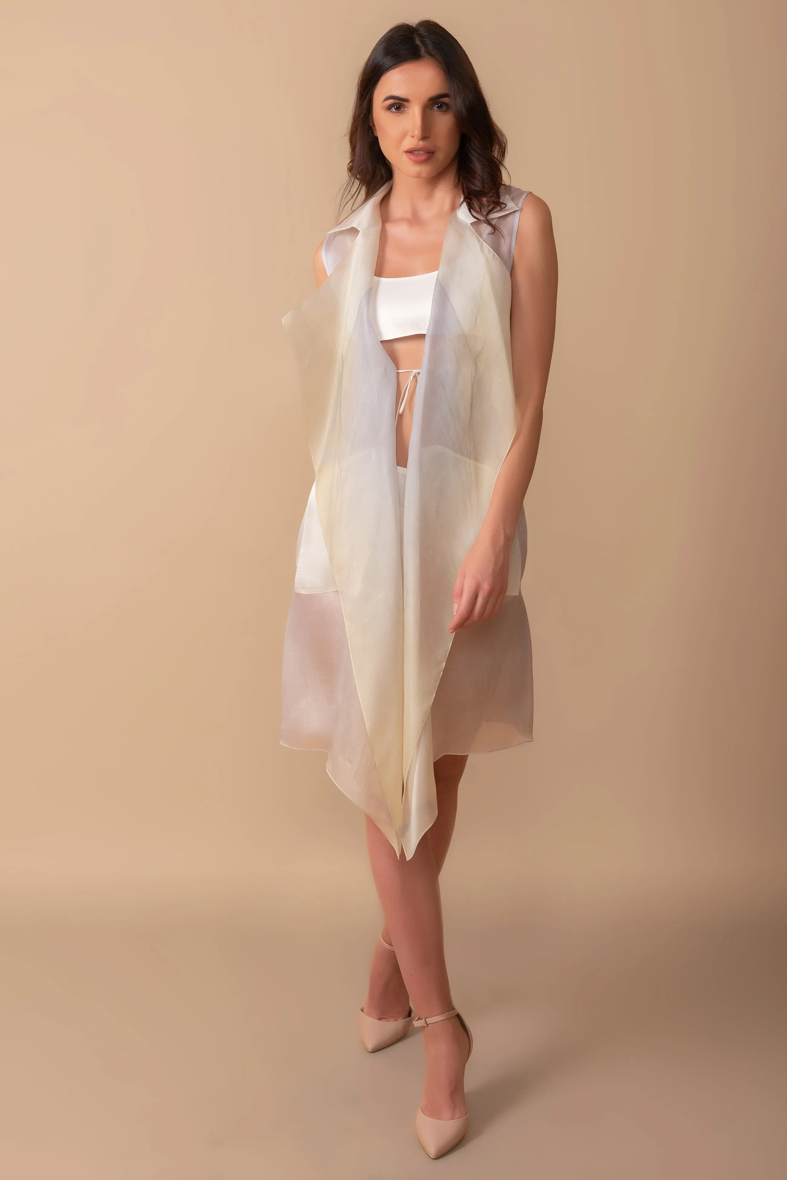 Gradient Organza Trench Coat