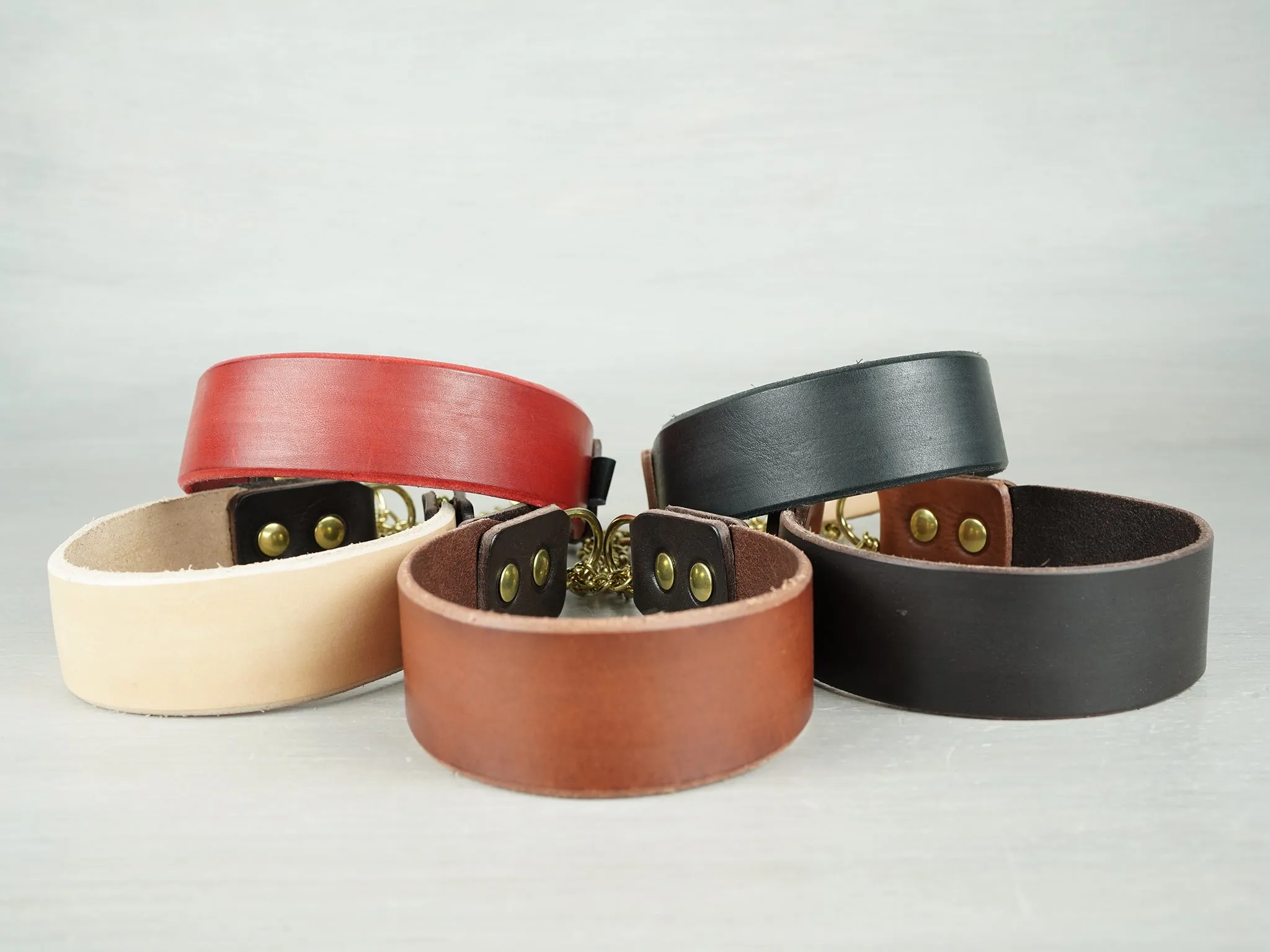 Leather Martingale Dog Collar in 5 Colors and Solid Brass Hardware