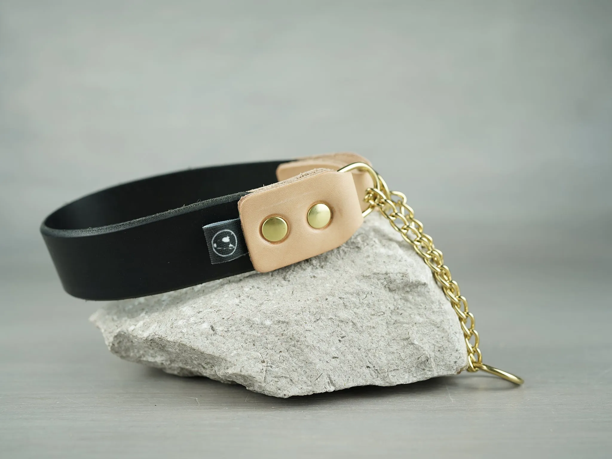 Leather Martingale Dog Collar in 5 Colors and Solid Brass Hardware