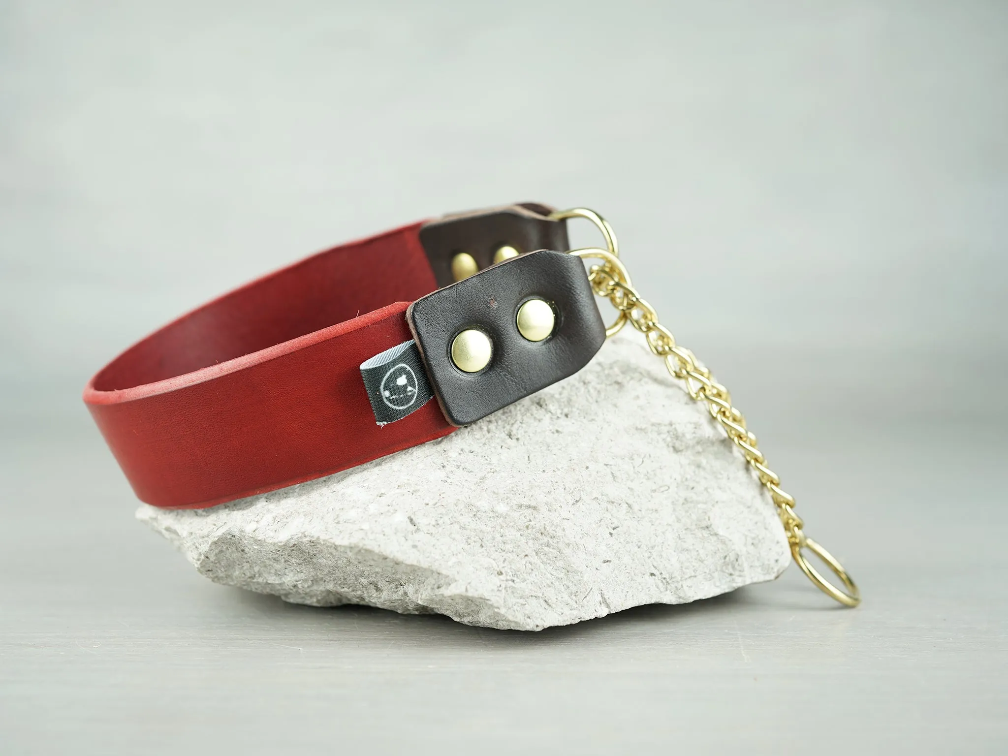 Leather Martingale Dog Collar in 5 Colors and Solid Brass Hardware