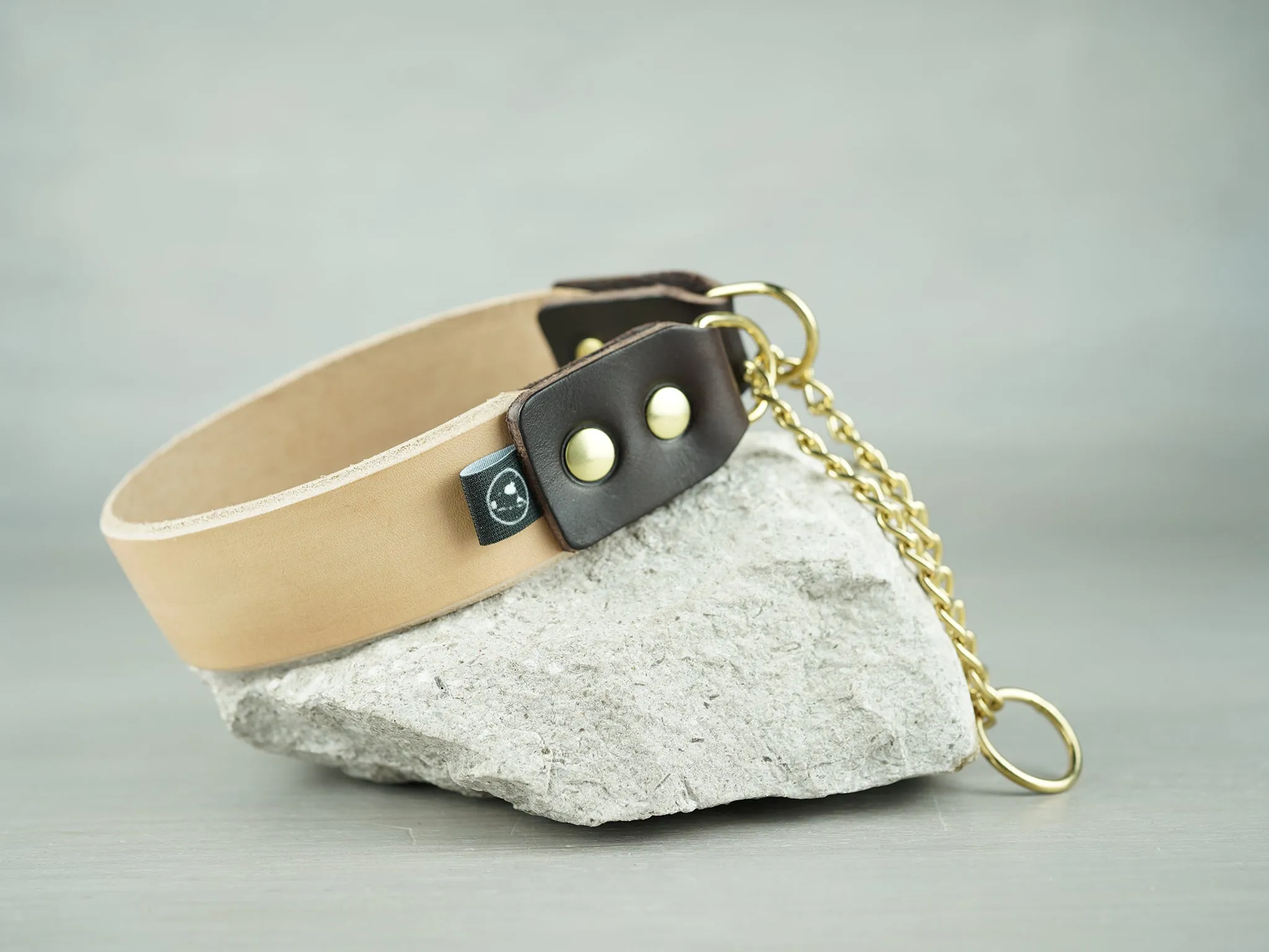 Leather Martingale Dog Collar in 5 Colors and Solid Brass Hardware