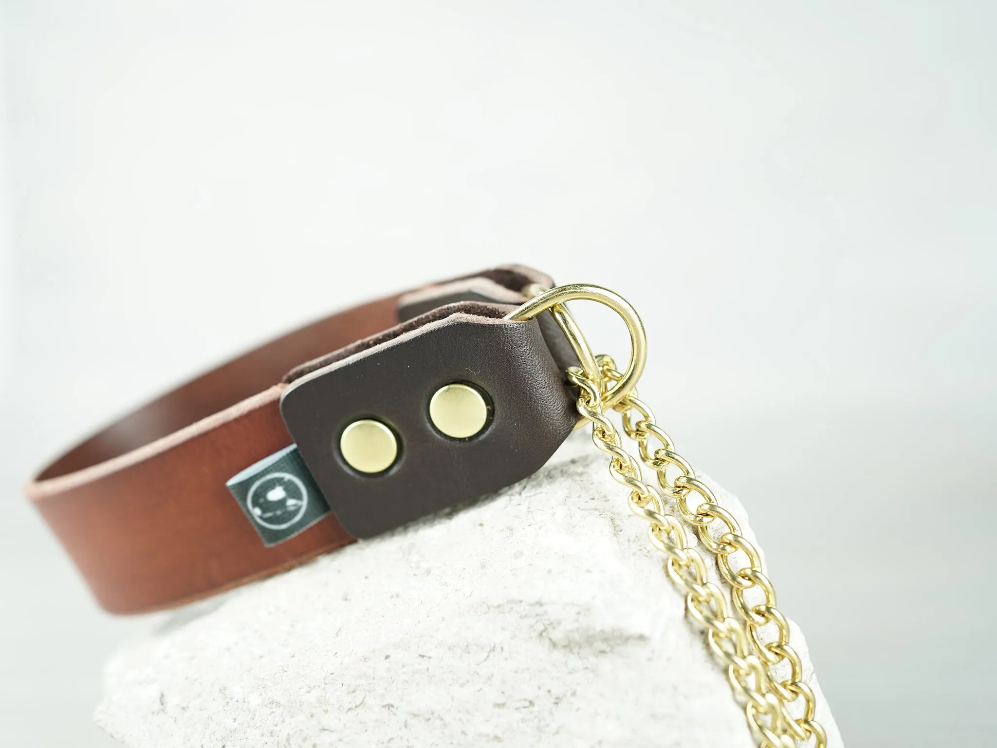 Leather Martingale Dog Collar in 5 Colors and Solid Brass Hardware