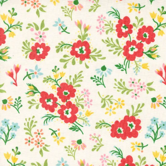 Moda Fruit Loop Nine Patch Quilt Kit