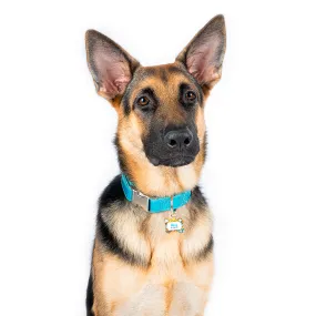 Personalized Dog Tags - Made in Puerto Rico