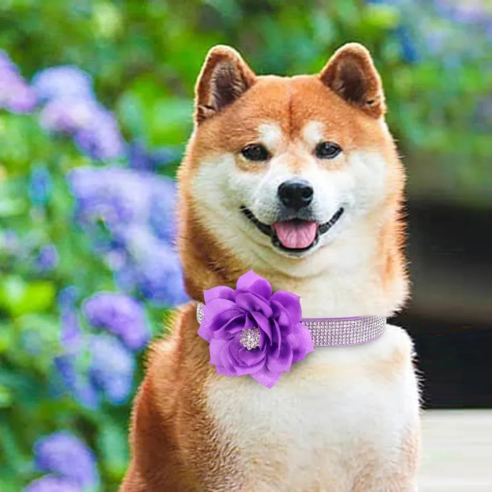"Floral Elegance" Rhinestone Pet Collar