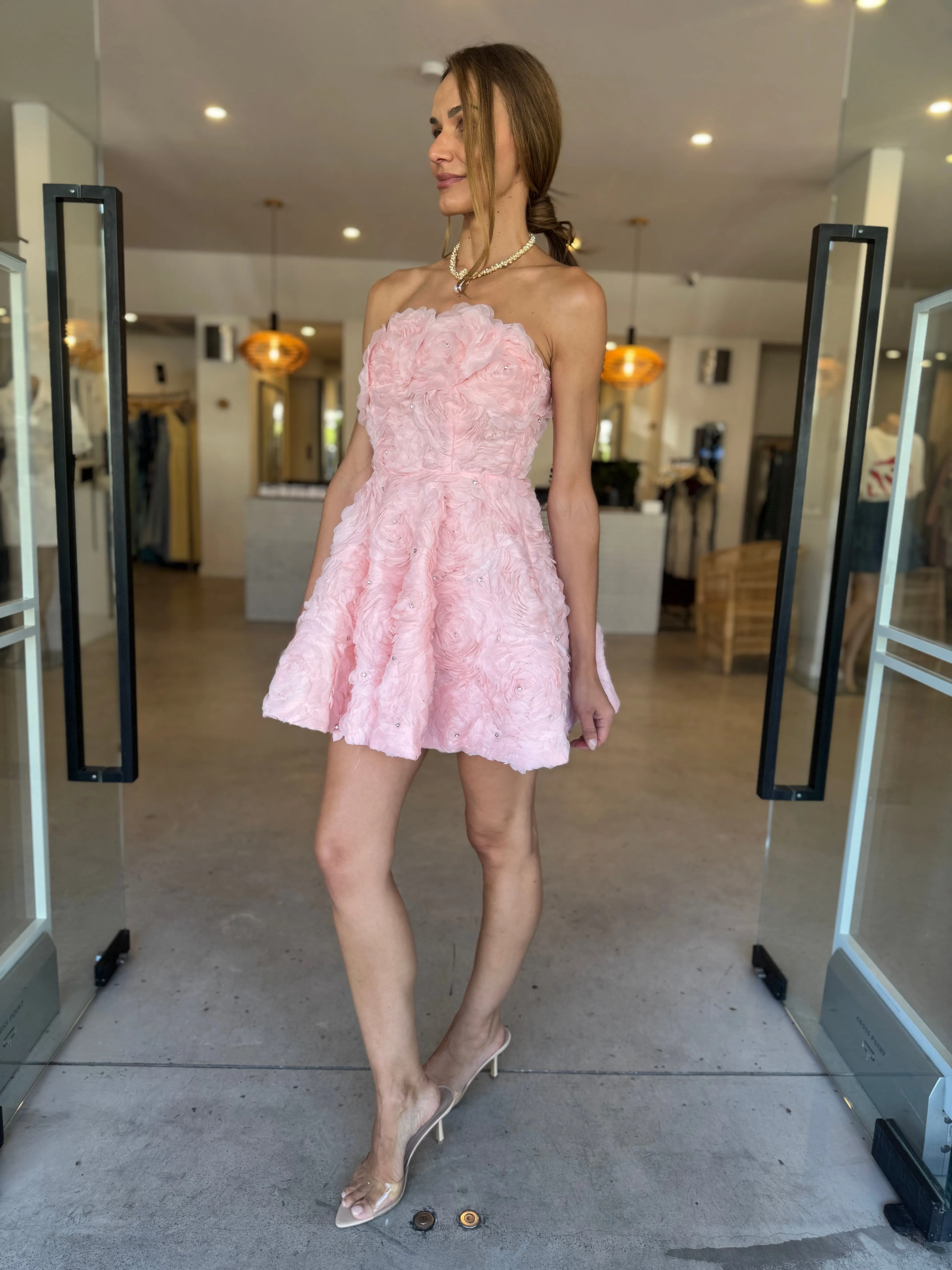 ROSELLA MINI DRESS BALLET
