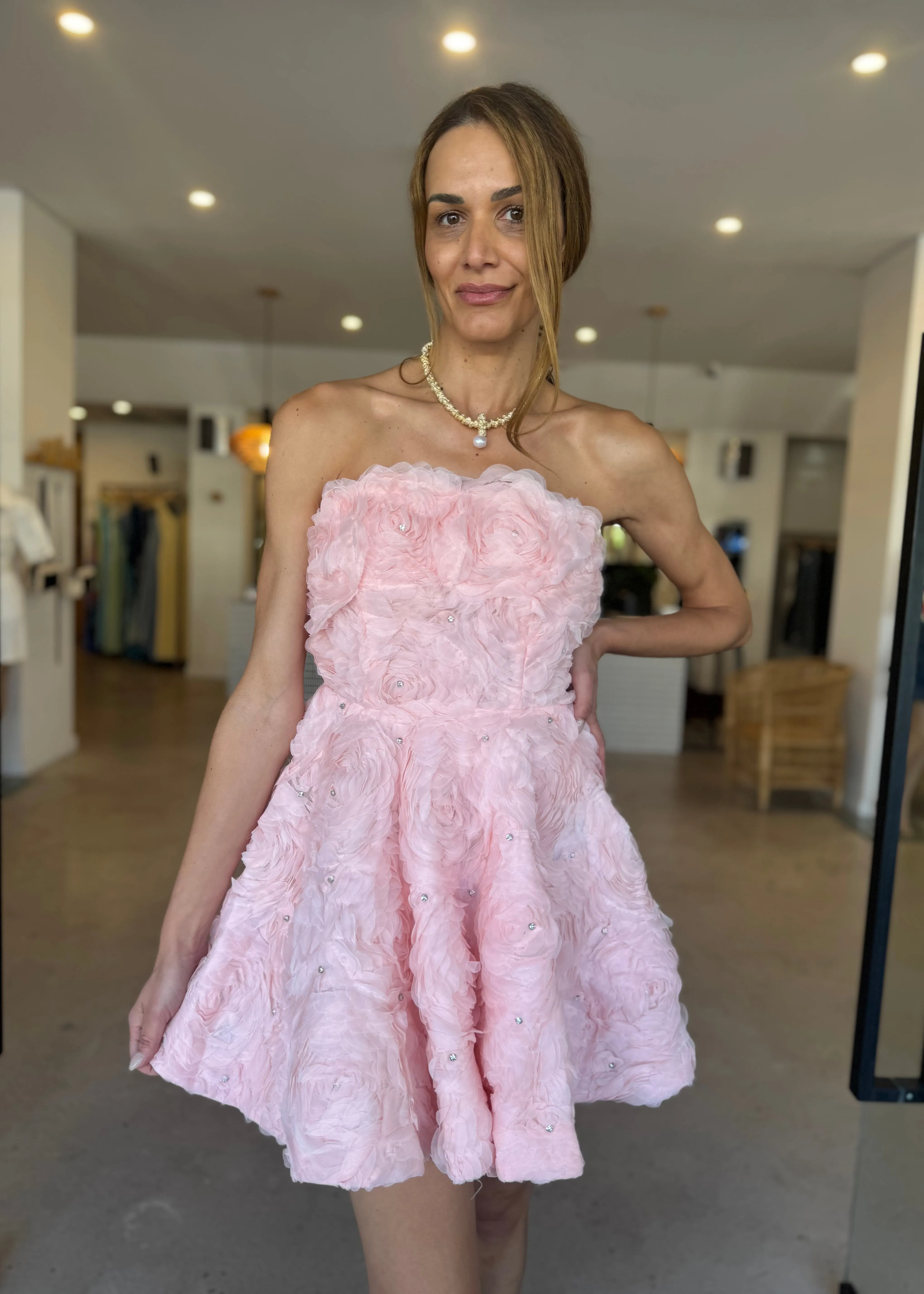ROSELLA MINI DRESS BALLET