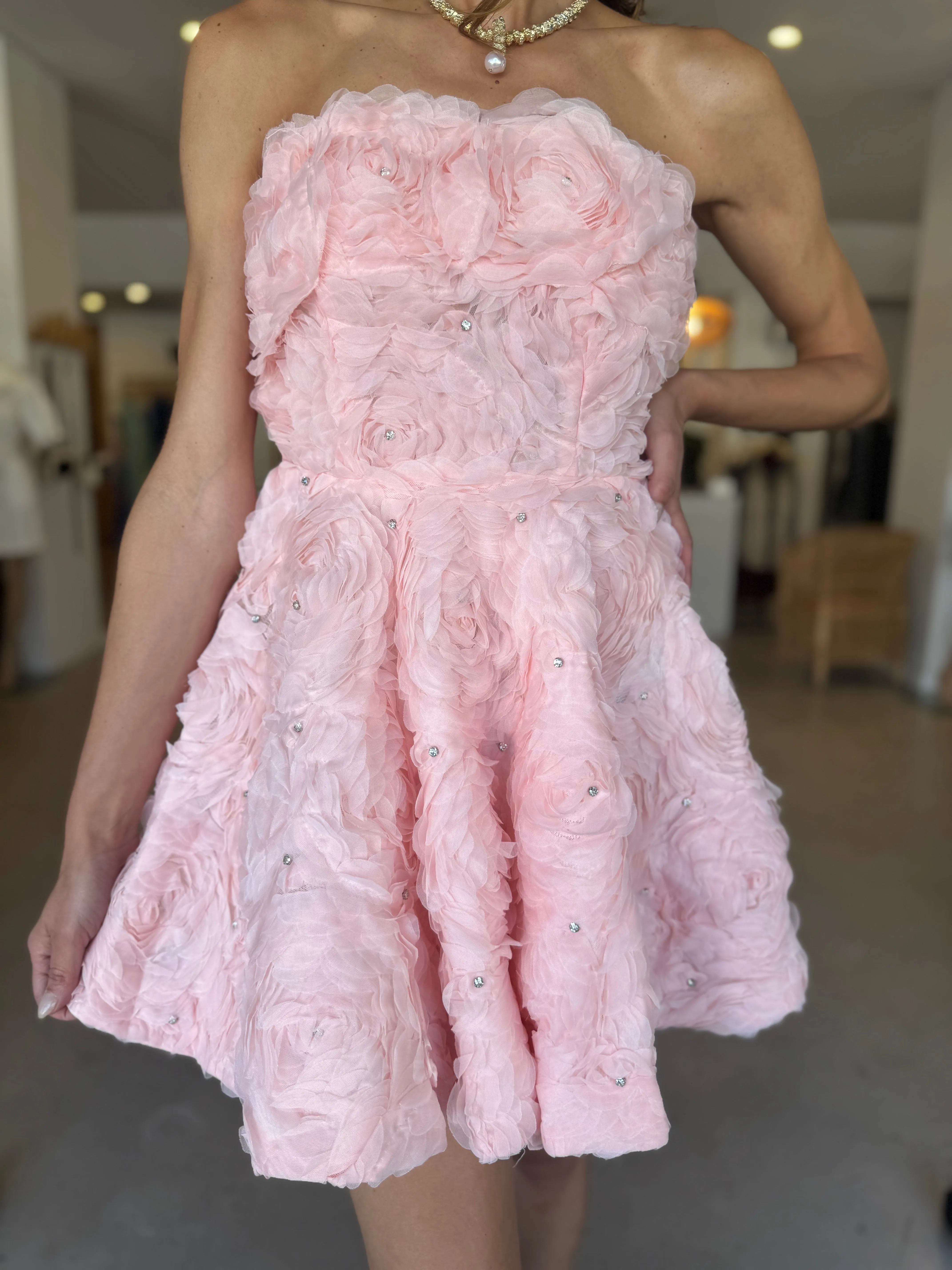 ROSELLA MINI DRESS BALLET
