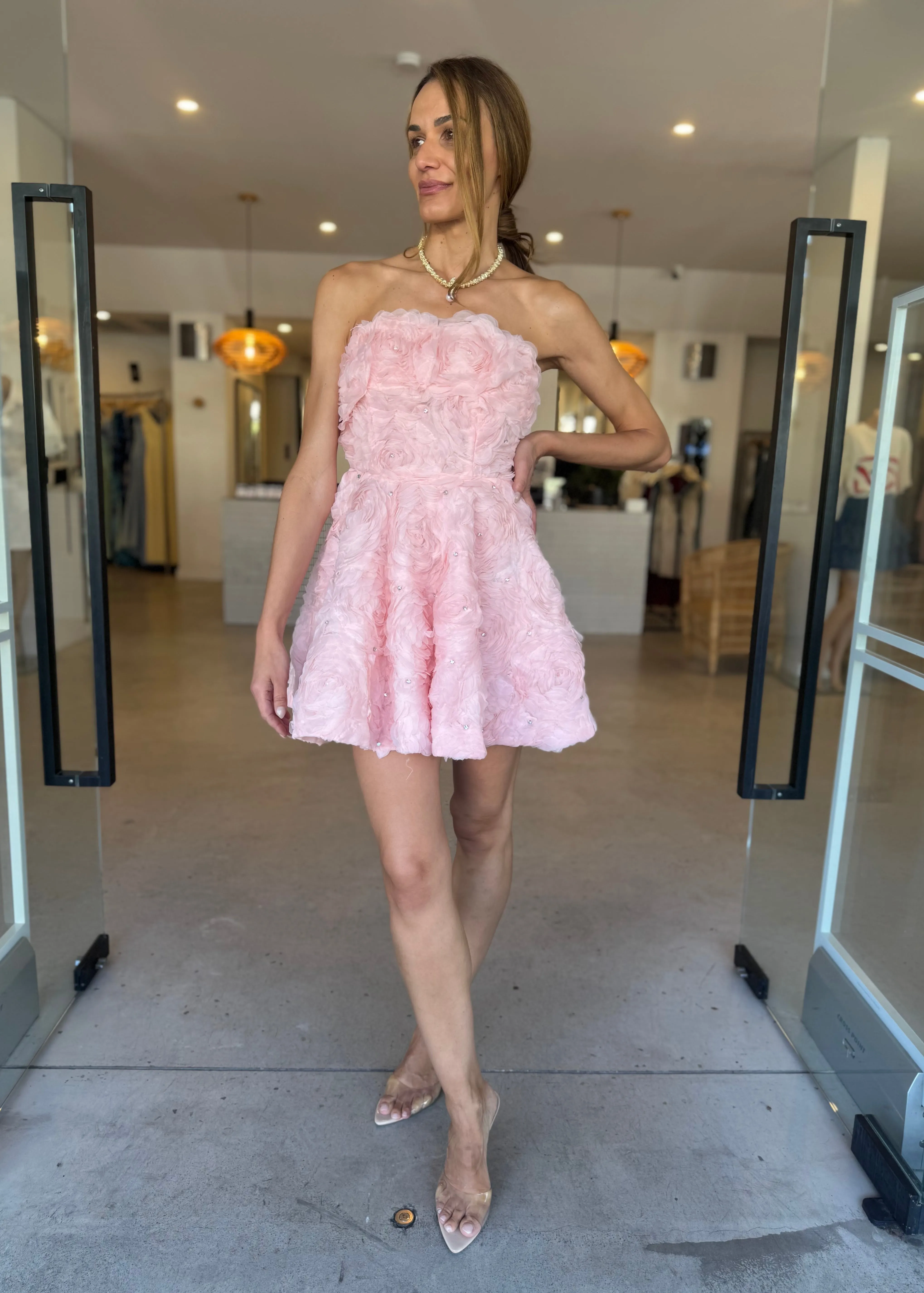 ROSELLA MINI DRESS BALLET