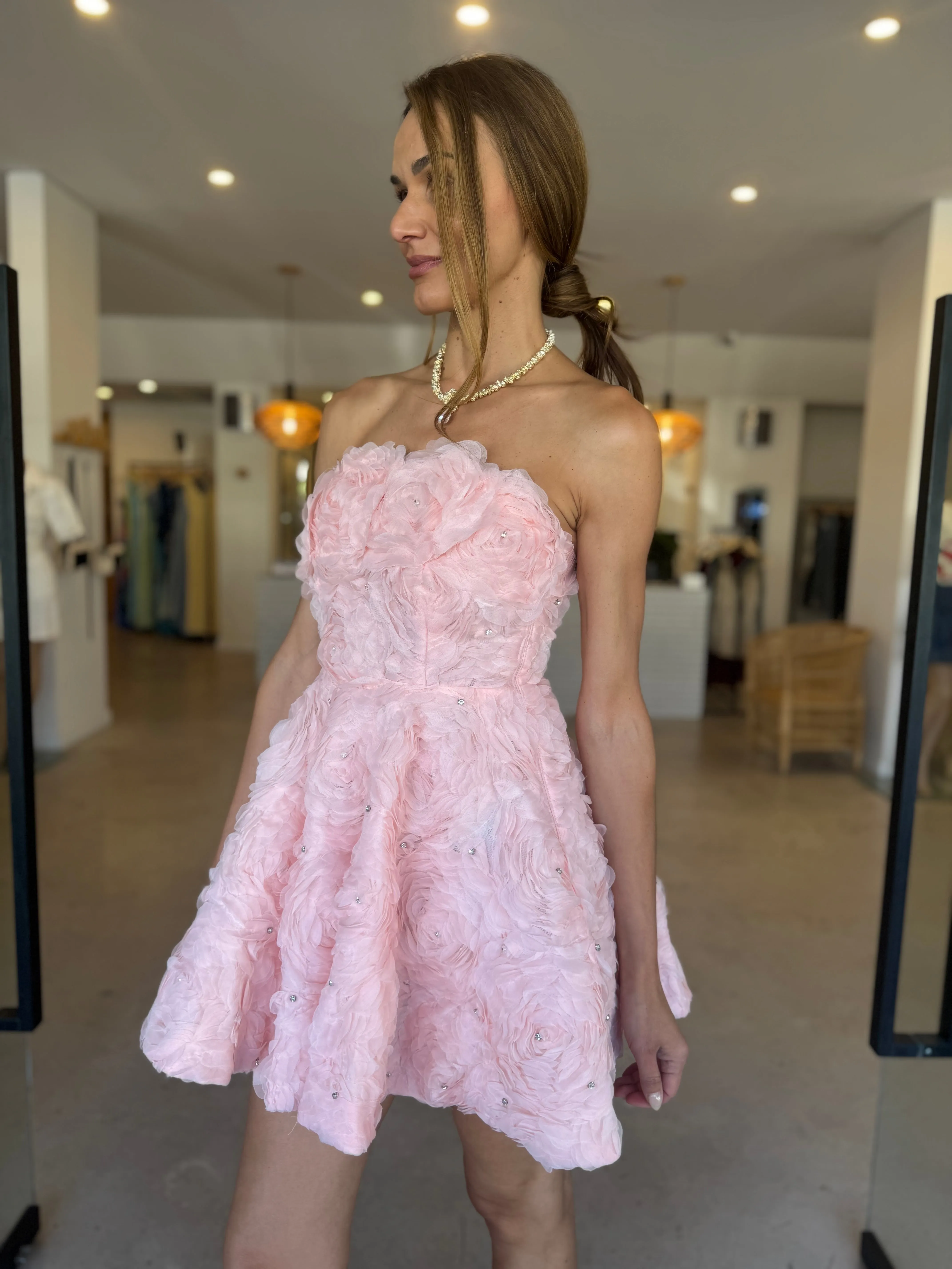 ROSELLA MINI DRESS BALLET