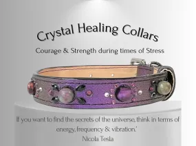 Strength & Vitality Support - Crystal Healing Collar - Candy Apple Purple SV101