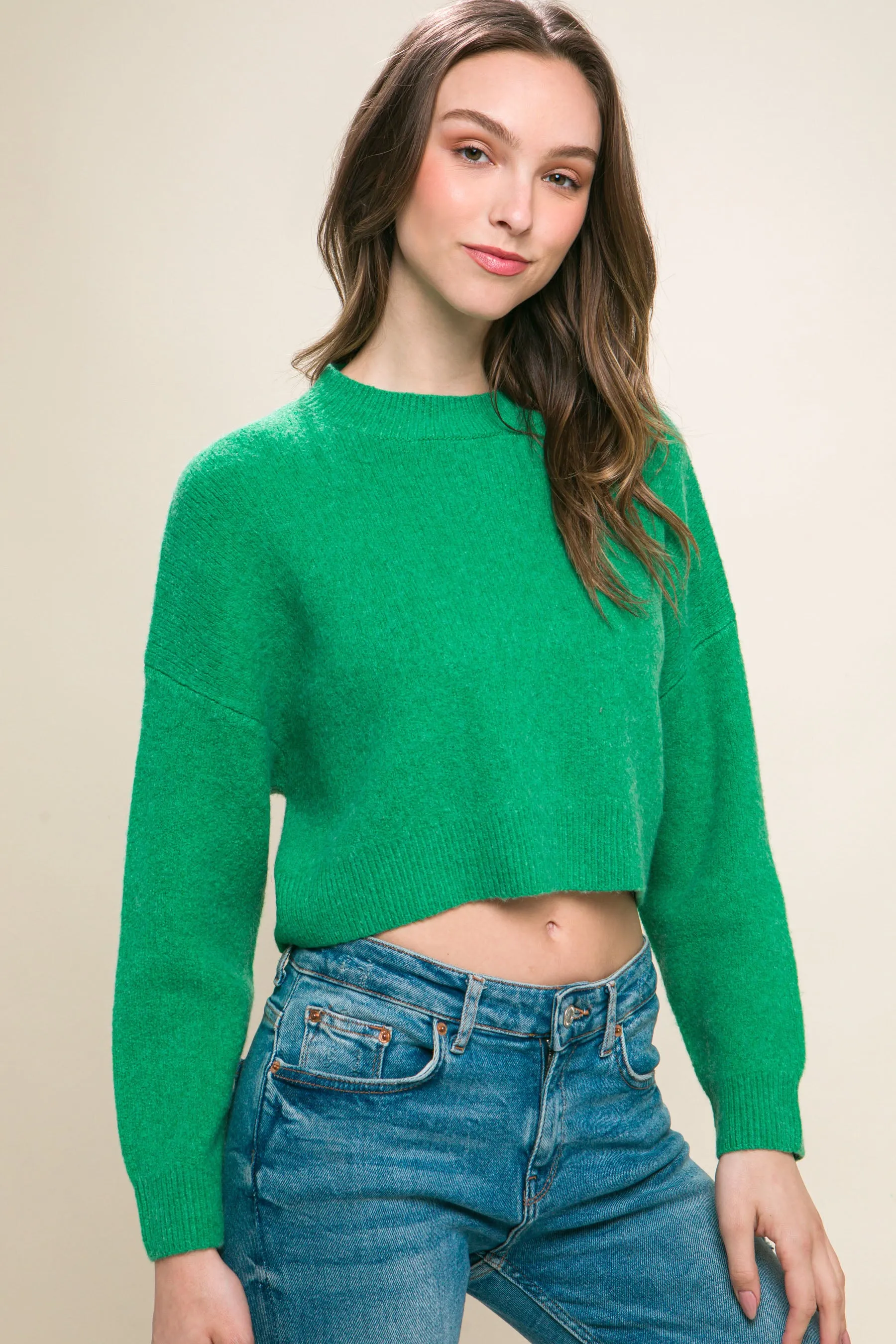 Stylish Crop Sweater Top