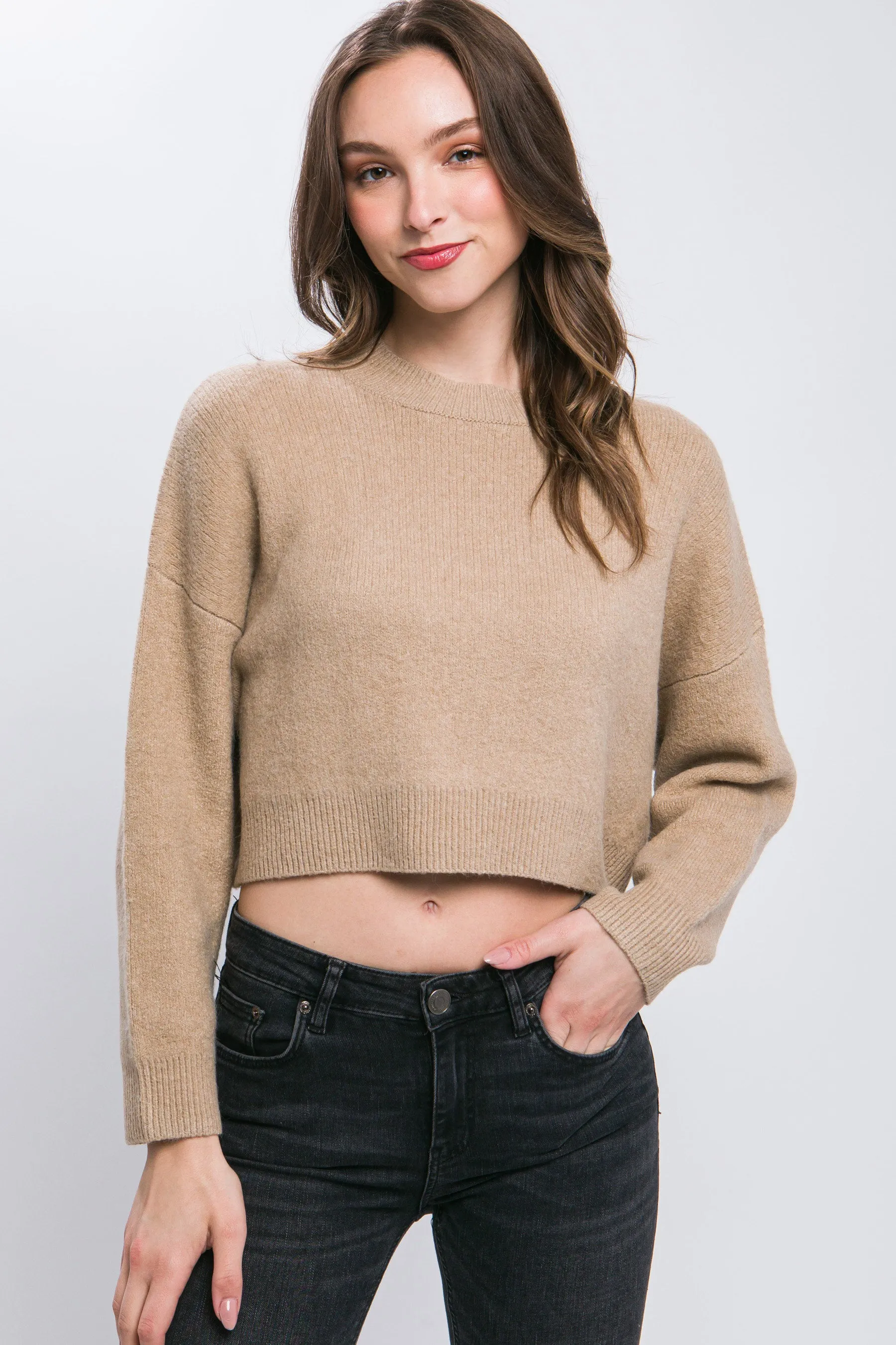 Stylish Crop Sweater Top