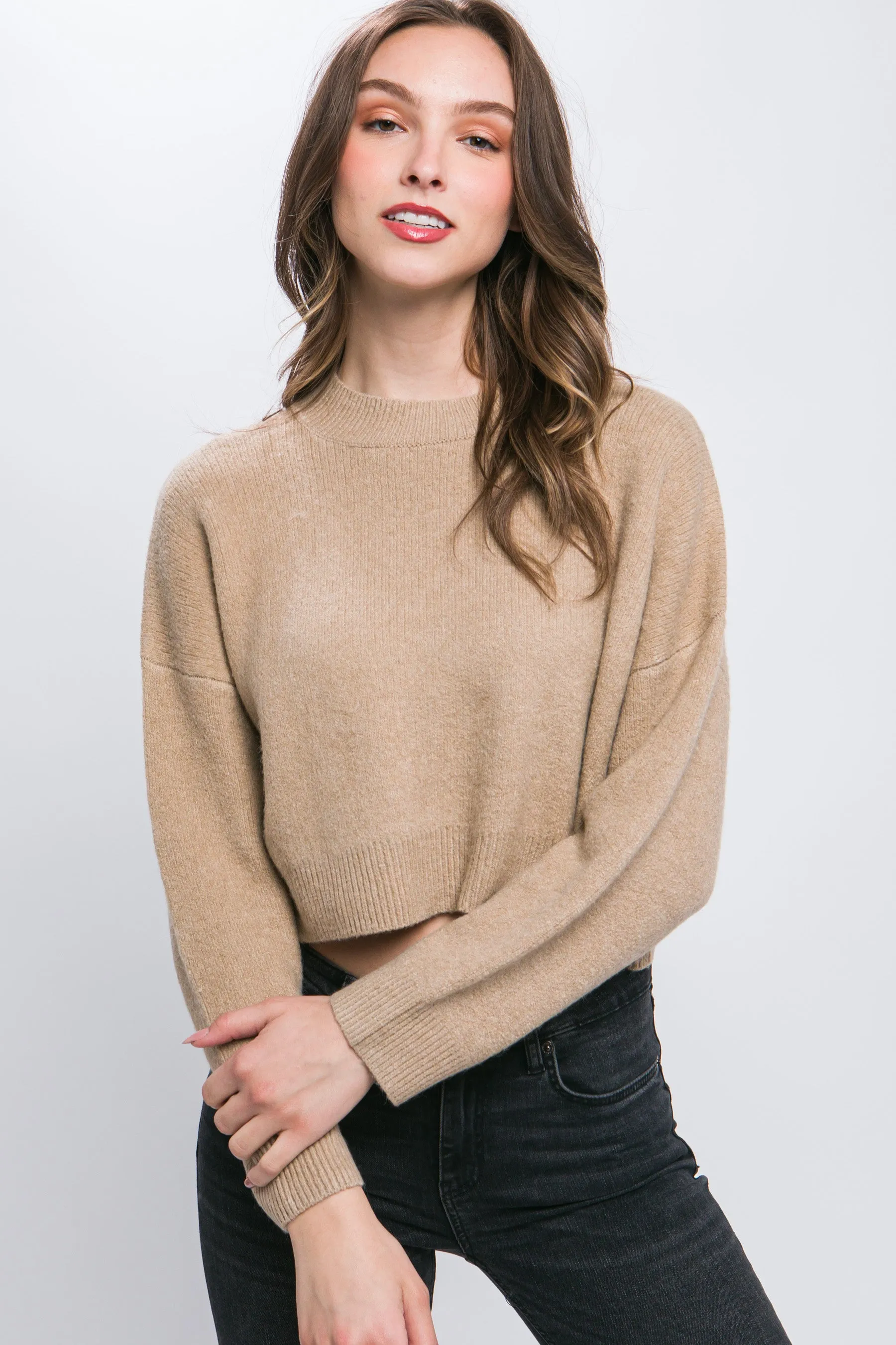 Stylish Crop Sweater Top