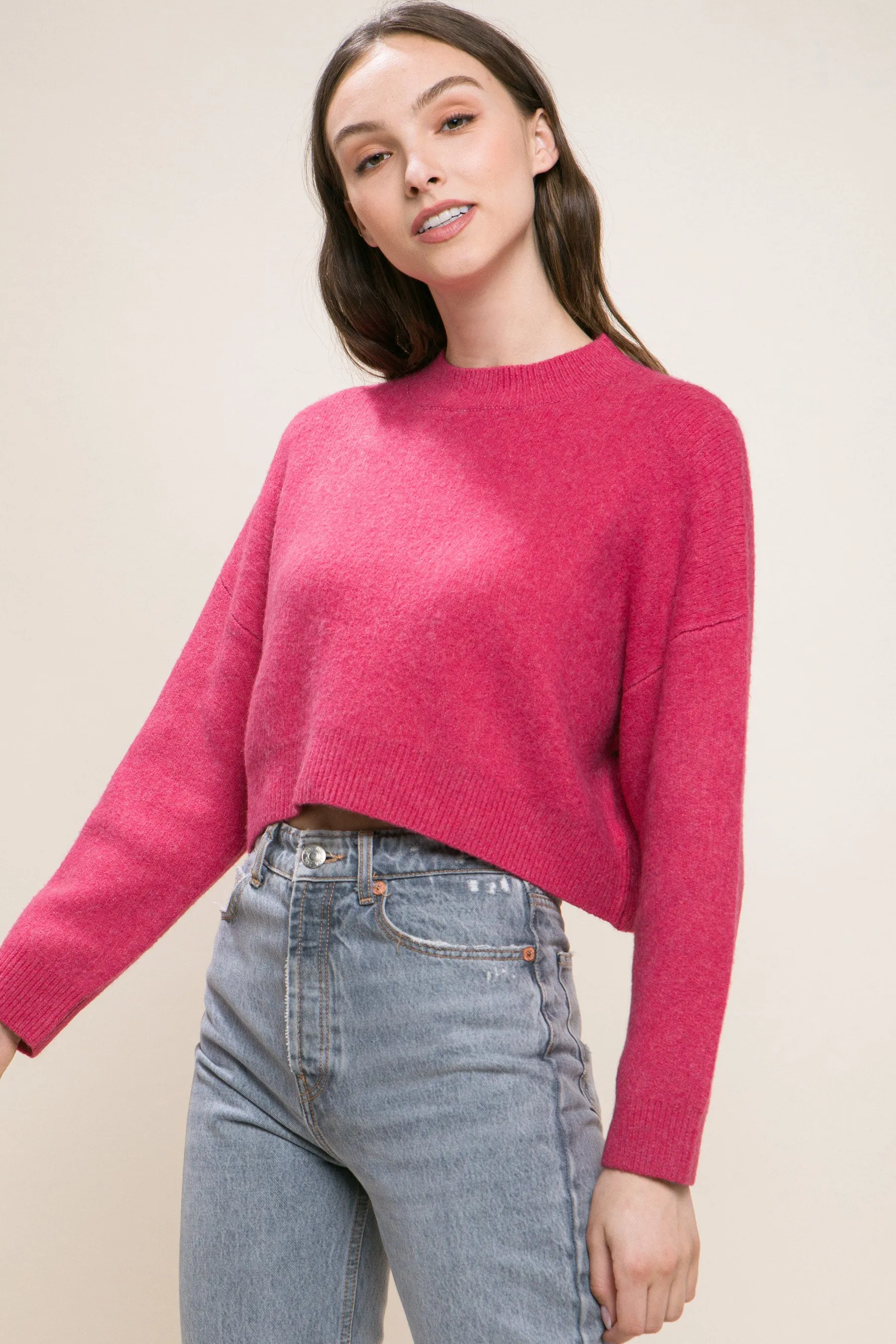 Stylish Crop Sweater Top
